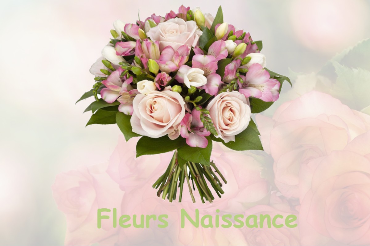 fleurs naissance HUISSEAU-SUR-MAUVES